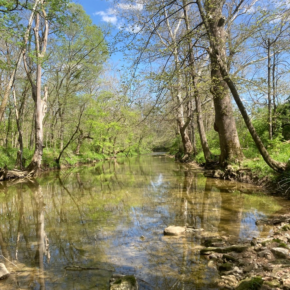Meet your Posher, Angie